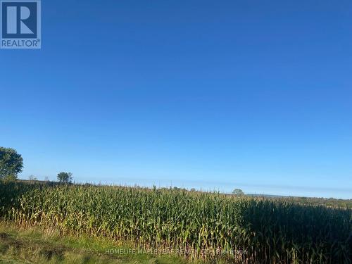 3501 Mccarthy Drive, Clearview, ON 