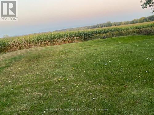 3501 Mccarthy Drive, Clearview, ON 