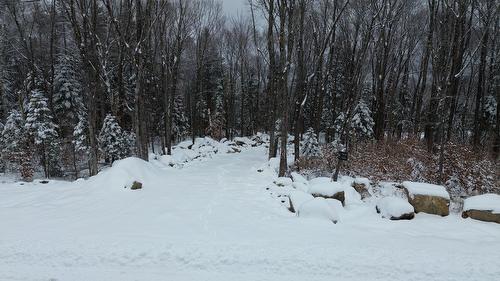 Photo aérienne - Ch. Fusey, Saint-Donat, QC 