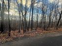 Vue d'ensemble - Rue Du Mont-Plaisant, Morin-Heights, QC 