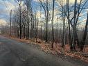 Vue d'ensemble - Rue Du Mont-Plaisant, Morin-Heights, QC 