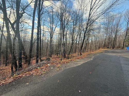 Vue d'ensemble - Rue Du Mont-Plaisant, Morin-Heights, QC 