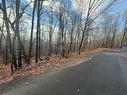 Vue d'ensemble - Rue Du Mont-Plaisant, Morin-Heights, QC 
