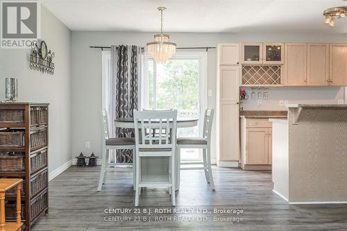 7972 County 13 Road, Adjala-Tosorontio, ON - Indoor