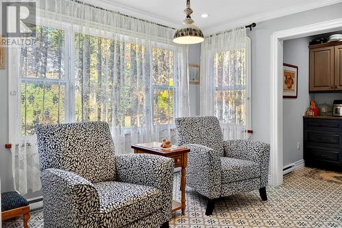 44 North River Road, North River, NL - Indoor Photo Showing Living Room
