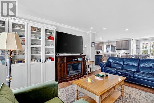 44 North River Road, North River, NL - Indoor Photo Showing Living Room