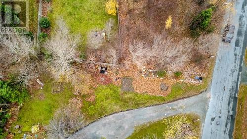 16 Forest Road, Conception Bay South, NL 