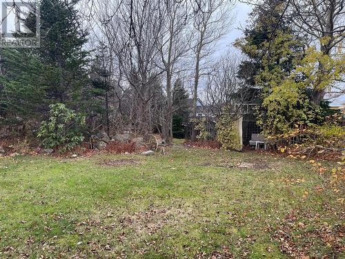 16 Forest Road, Conception Bay South, NL 