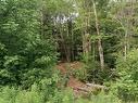 Mcmullin Road, Antrim, NS 