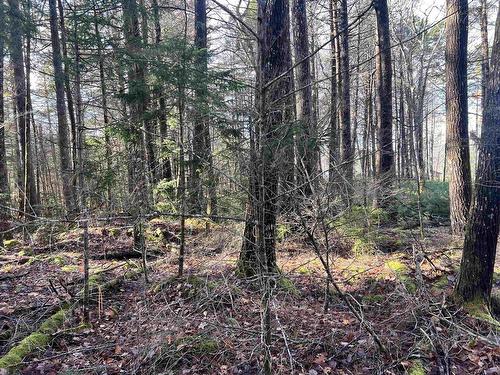 2 Oak Hill Road, Lower Ohio, NS 