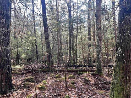 2 Oak Hill Road, Lower Ohio, NS 