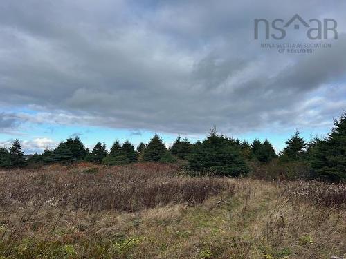 Wharf Road, L'Ardoise, NS 