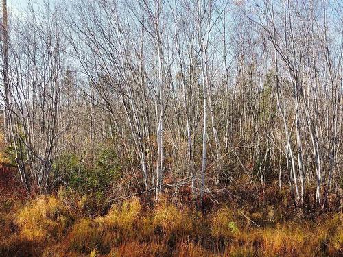 Lot No 3 Highway, Lydgate, NS 