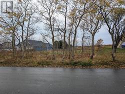 30 Baird's Lane  Conception Bay South, NL A1W 4X4