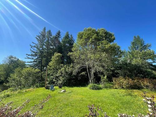 Extérieur - 135 Ch. Bisson N., Amherst, QC - Outdoor