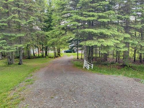 A-B-149 Beaulieu Rd, Saint-François-De-Madawaska, NB 