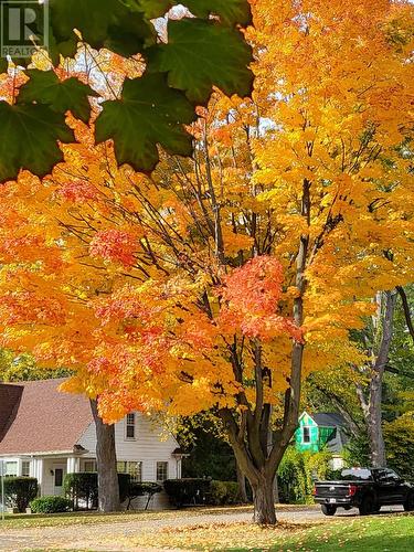 10 - 2405 Lakeshore Road, Burlington (Brant), ON - Outdoor