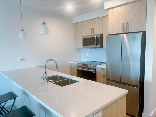306-147 Haliburton St, Nanaimo, BC - Indoor Photo Showing Kitchen With Stainless Steel Kitchen With Double Sink With Upgraded Kitchen