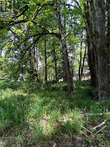 1154 2Nd Ave, Ladysmith, BC - Outdoor