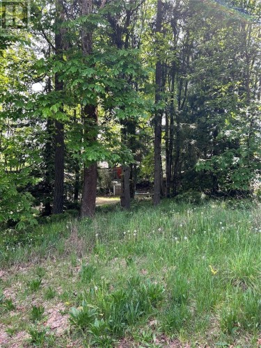 1154 2Nd Ave, Ladysmith, BC - Outdoor