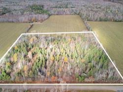 Acreage Peakes Road  Riverton, PE C0A 1T0