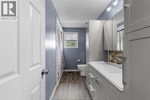 148 Riverview Avenue, Lasalle, ON - Indoor Photo Showing Bathroom