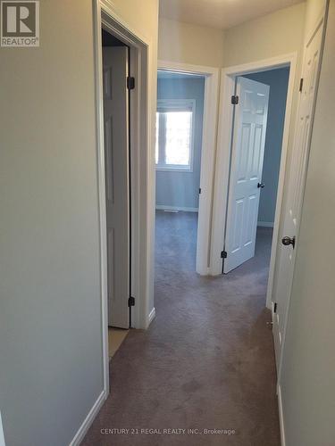 58 Butcher Crescent, Brantford, ON - Indoor Photo Showing Other Room