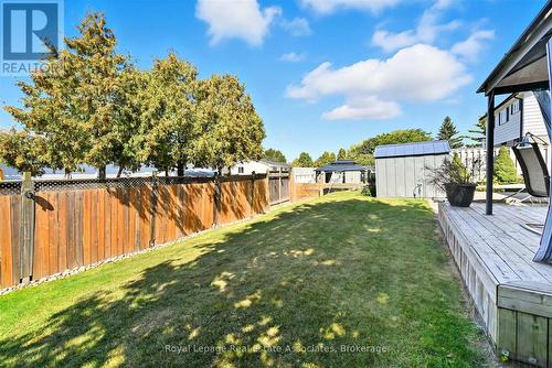 Rear Yard - 107 Billington Crescent, Hamilton, ON - Outdoor