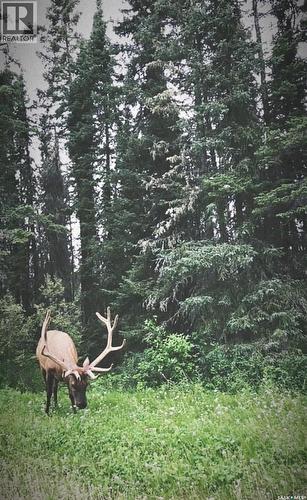 28 Eagle View Way, Elk Ridge, SK - Outdoor