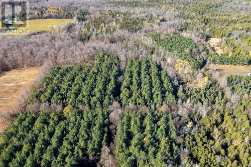 9328 Wellington  50 Road, Erin, ON 