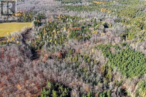 9328 Wellington  50 Road, Erin, ON 