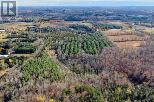 9328 Wellington  50 Road, Erin, ON 