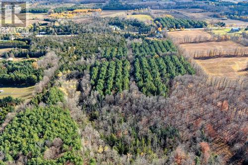 9328 Wellington  50 Road, Erin, ON 