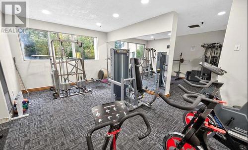 107 - 3695 Kaneff Crescent, Mississauga, ON - Indoor Photo Showing Gym Room