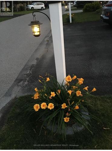 48 Madawaska Trail, Wasaga Beach, ON - Outdoor