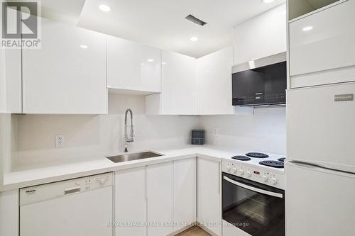 2nd Kitchen (Lower Level) - 613 Santee Gate, Mississauga, ON - Indoor Photo Showing Kitchen