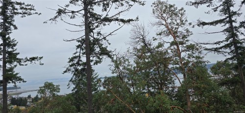 917 Harbour View St, Nanaimo, BC 