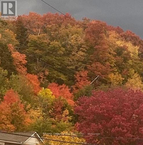 199 Kimberly Drive, Hamilton, ON - Outdoor With View