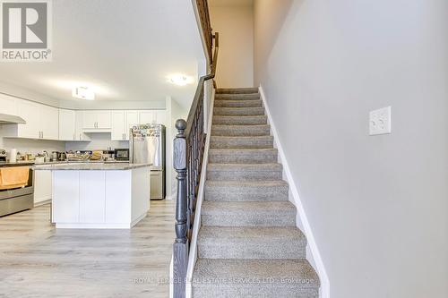 60 Netherwood Road, Kitchener, ON - Indoor Photo Showing Kitchen