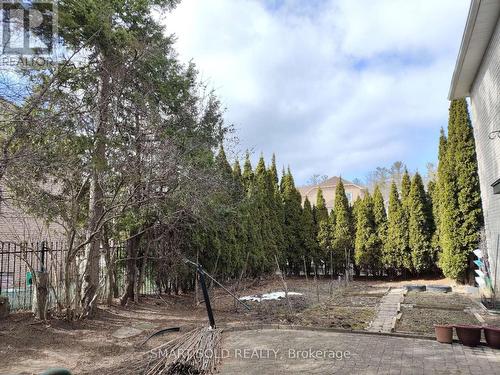 67 Chantilly Crescent, Richmond Hill, ON - Outdoor With View