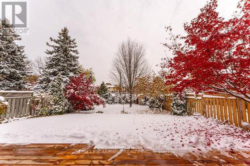 162 Solomon Crescent, Hamilton, ON - Outdoor