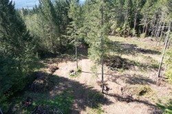Lot 4 Appaloosa Way  Duncan, BC V9L 6J1