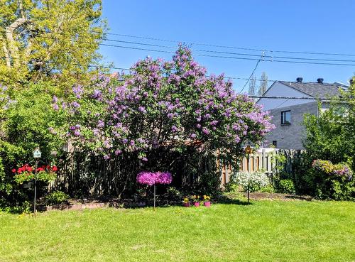 Cour - 145 Rue Beacon, Kirkland, QC 