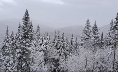 Vue - Ch. Du Moulin, Lac-Beauport, QC 
