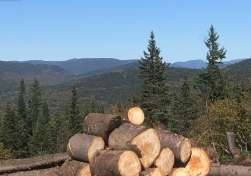 Terre/Terrain - Ch. Du Moulin, Lac-Beauport, QC 