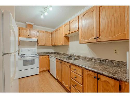 304-134 Portugal Cove Road, St. John'S, NL 