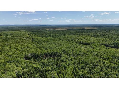 Lot Cormier Village Rd, Saint-Paul, NB 