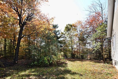 Cour - 184 Rue Lajeunesse, Saint-Colomban, QC - Outdoor