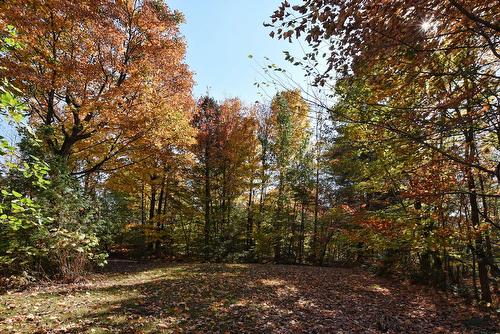 Cour - 184 Rue Lajeunesse, Saint-Colomban, QC - Outdoor