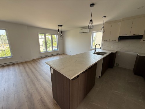 Cuisine - E-208 Rue St-Joseph, Sainte-Anne-Des-Plaines, QC - Indoor Photo Showing Kitchen With Double Sink